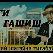 Гиги За Шаши