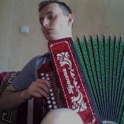 Завидочка На Гармони