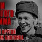Песни Строгого Режима От Звонка До Звонка Самый Крутой Сборник Блатняка Русский Шансон