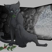 Коты Воители Песня Вдох