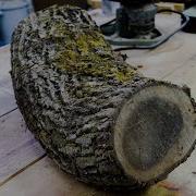 Woodturning A Log Live Edge Black Walnut Bowl