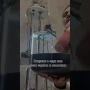 Музыка Для Риэлторов