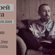 Андрей Тирса Программа Поиска
