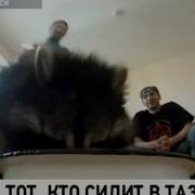Енот Стирает Носки