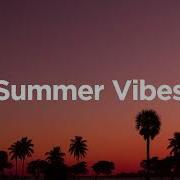 Vibes Summer