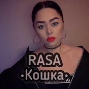 Кавер Песни Кошка Rasa