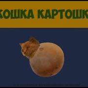 Чилипиздрик Что За Мем Про Кошку Картошку