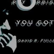 Roy Orbison You Got It David R Fuller Mix