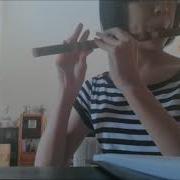 Bts Rm Suga J Hope 땡 Ddaeng Flute Cover