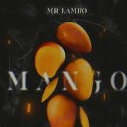 Mr Lambo Mango Slow