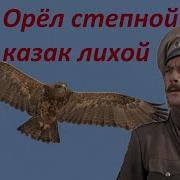 Казак Лихой Орел Степной Песня