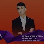 Чубак Уулу Санжар Сенин Кулкун Жаны Ыр 2019