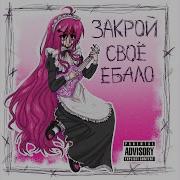 Заткни Своё Ебало