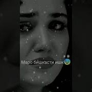 Беҳтарин Суруди Ошики