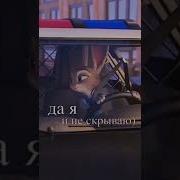 Хитрый Кролик Глупый Лис Да Брось Ты Же Любишь Меня