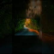 Дорога Туда Везде Бардак Speed Up