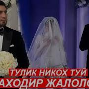 Баходир Жалолов Туйи