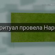 Трейлер К Фанфику Рыжее Солнце И Белый Тюльпан Фанфик По Гарри Поттеру И Великолепному Веку