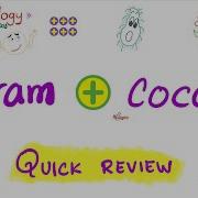 Cocci