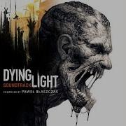 In The Cage Dying Light