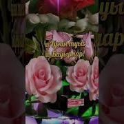 Ағайын Туыс Бауырлар Аман Болсын