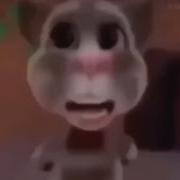 Bruh What The Hell Bruh