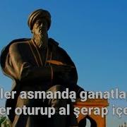 Bolar Yaranlar