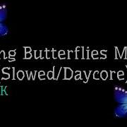 Killing Butterflies Meme Slowed