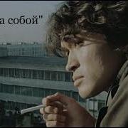 Следи За Собой Спидап