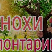 Гунохи Калонтарин