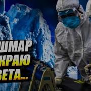 С Чем Столкнулись В Антарктиде