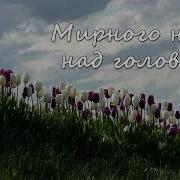 Мирное Небо Над Головой