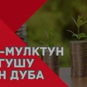 Мал Дүйнөнүн Өнүгүшү Үчүн Окулуучу Дуба