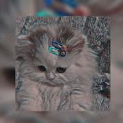 Missing Kitty Kreayshawn Speed Up