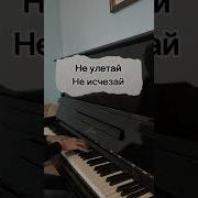 Гречка Люби Меня Люби Cover By Ann Kovtun