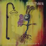 Seether My Disaster