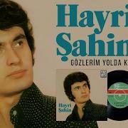 Hayri Şahin Gözlerim Yolda Kaldı Plak Kaydi Official Audio