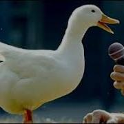 Duck Quack Sound Effect