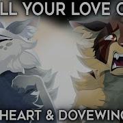 Lay All Your Love On Me Complete Warrior Cats Map