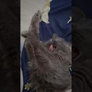 Эй Пацан Или Может Не Пацан Хватит Спать