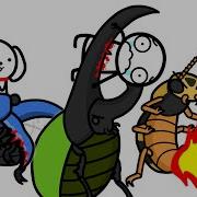 What It S Like To Fight The Deadliest Beetles