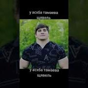 У Асхаба Тамаева Щавель Мем
