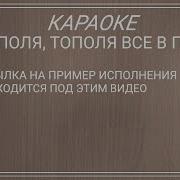 Сергей Завьялов Тополя Всё В Пуху Минусовка