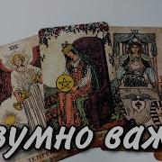 Это Наша Судьба