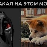 Мистер Исключитель Грустный Мемы