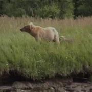 Alaska 05 Песни