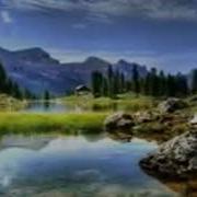 Абдуллох Домла Домлаларни Гийбат Килиш