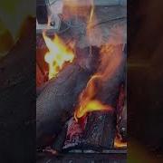 Ты В Третье Лето Зацветешь