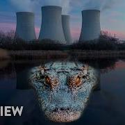 Atimic Crocodile