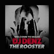 Welcome To Miami Dj Denz The Rooster